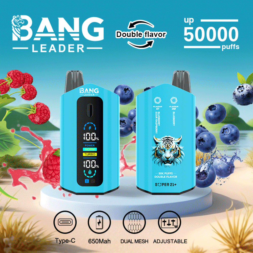 Blueberry Sour Raspberry & Blueberry Doppio Sapori Vape Usa e Getta