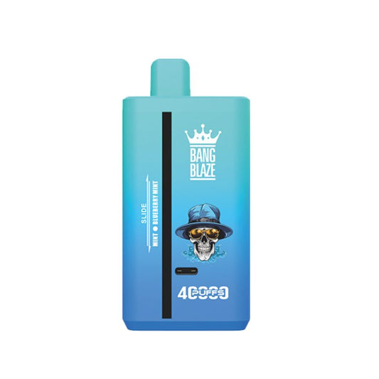Mint & Blueberry Mint Dual Flavor - Puff 40000 Tiri Sigaretta Elettronica Usa e Getta