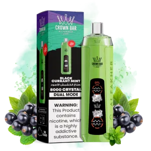 Puff 8000 Tiri Black Currant Mint Gusto Nicotina Sigaretta Elettronica Monouso