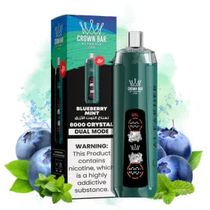 Blueberry Mint Gusto - Puff 8K Tiri Sigarette Elettroniche Usa e Getta
