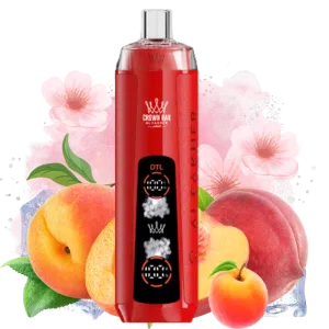 Prezzo Puff 8000 Tiri Sigarette Elettroniche Monouso - Peach Ice Gusto