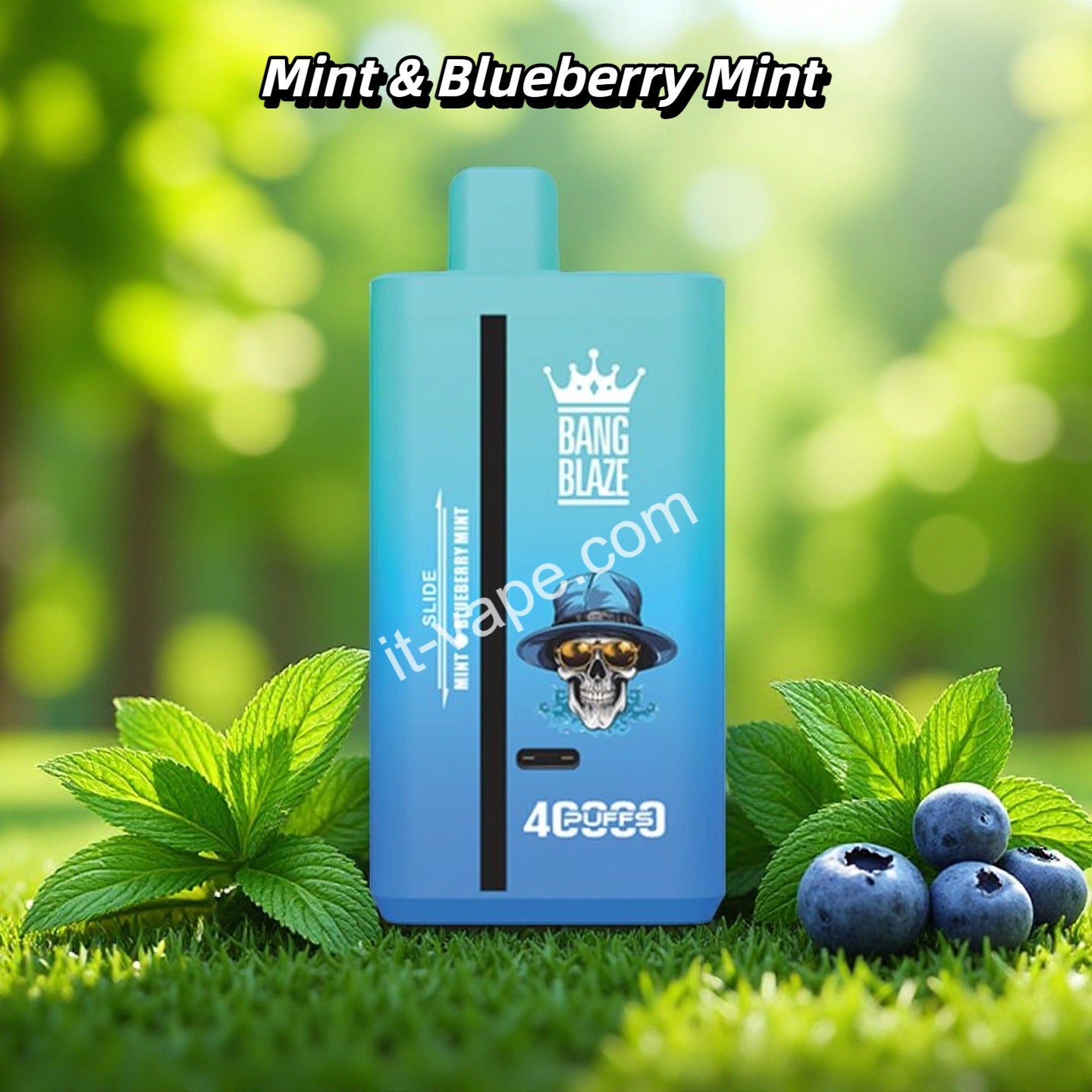 Mint & Blueberry Mint Puff 40000 Tiri Vape Jetable