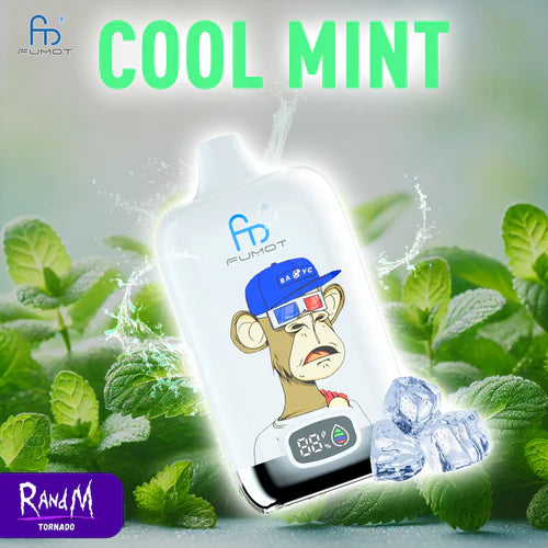 Puff 12000 Tiri sigarette elettroniche Monouso Cool Mint